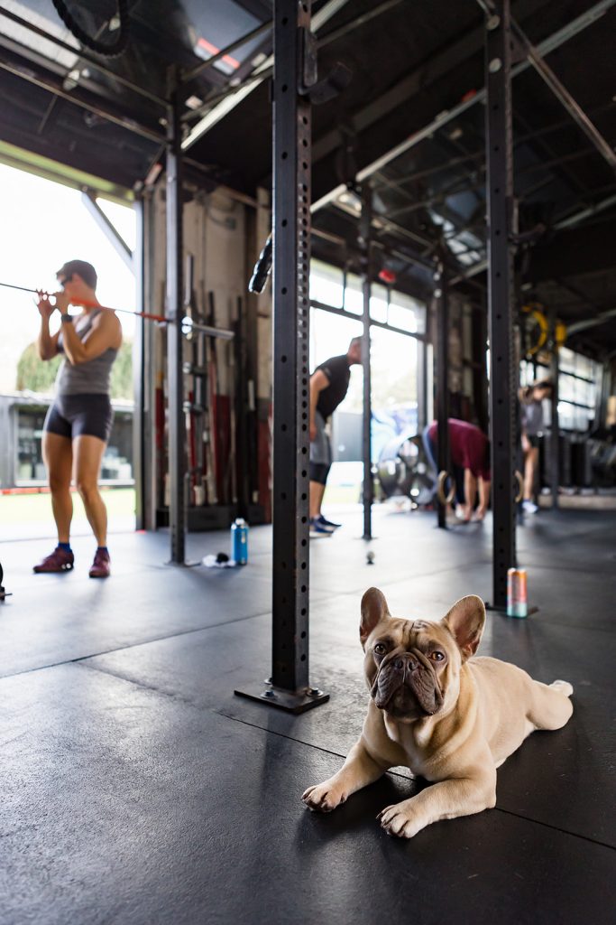 Our Gym Dog Chili